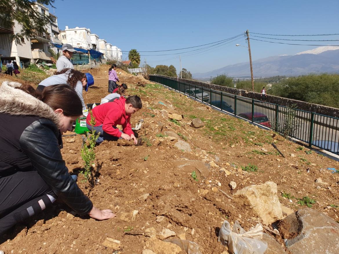 תמונות מהנטיעות