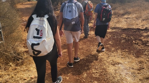 9.jpeg