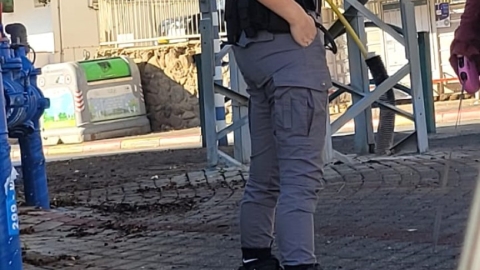 14.jpeg