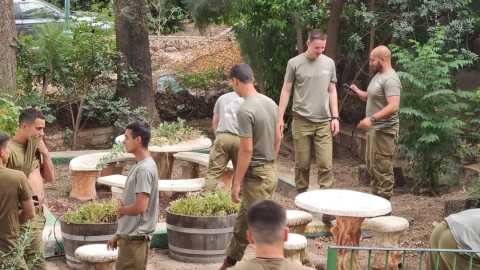 6 (4).jpeg