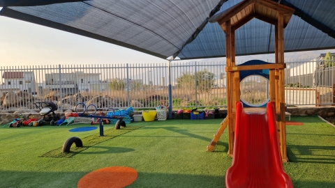 ניצן.jfif