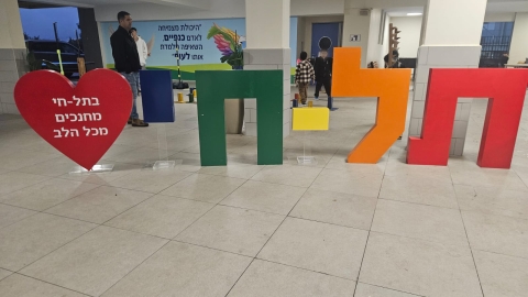 13.jpg