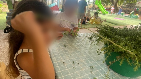 ילדי גן לילך יצאו לגלות מחדש את הצמחים בגינת הגן