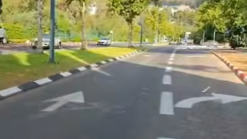 מחדשים את שדרות הנרייטה סולד: פרחים, צמחייה והשקיה חדשה
