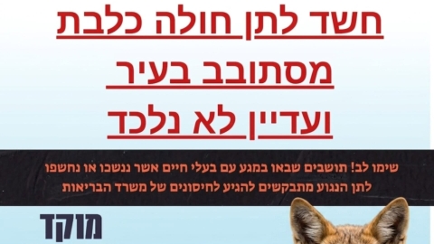 חשד לאירוע כלבת באזור קריית שמונה