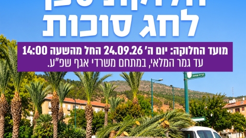 חלוקת סכך דקלים ללא עלות לתושבי קריית שמונה