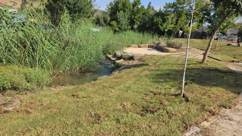 ממשיכים לחדש את המרחבים הציבוריים: פרסנו מדשאה חדשה ברחוב ביאליק