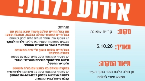 תן חולה בכלבת נלכד בשטח העיר